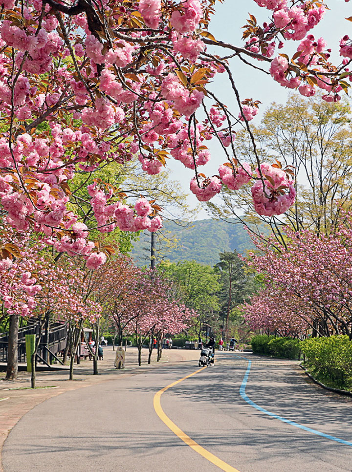 Seoul Grand Park