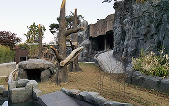 공사 후-나무구조물.jpg