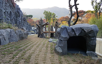 공사 후-은신처.jpg