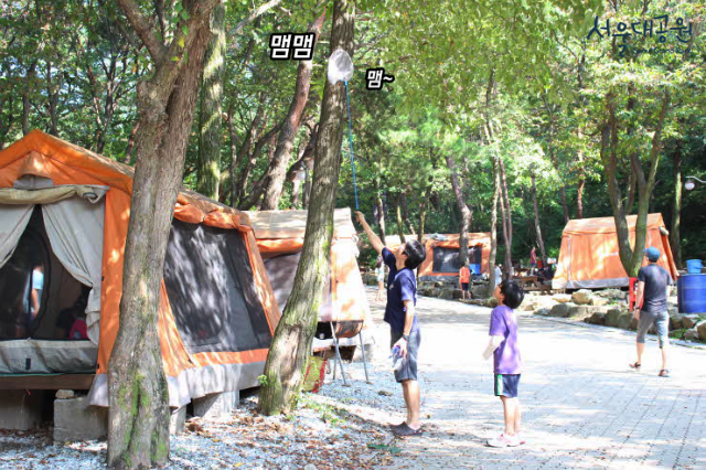 자연속에서 아이들과 곤충채집도 해보세요~