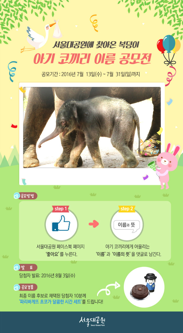 코끼리이름짓기이벤트2.jpg