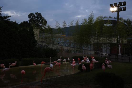 홍학사 야간모습