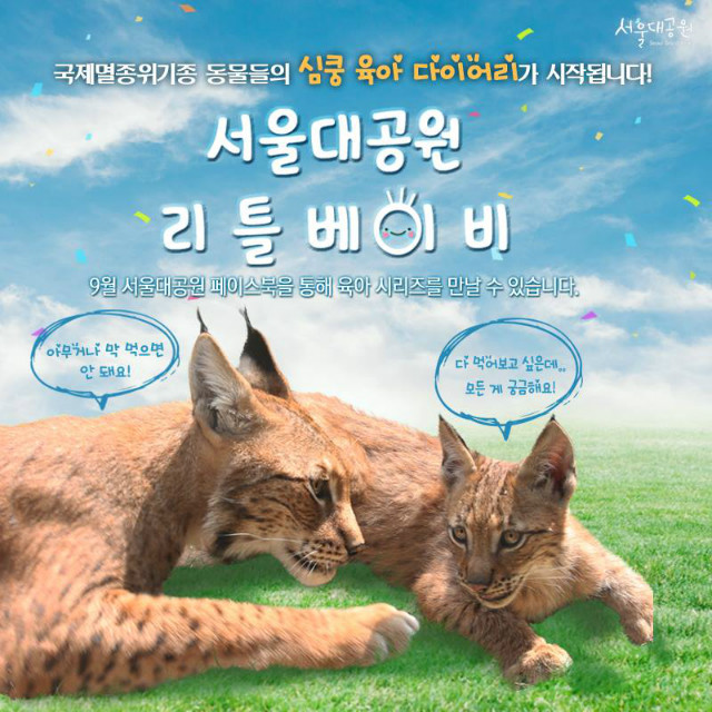 국제멸종위기종 동물들의 심쿵 육아 다이어리가 시작됩니다.
서울대공원 리틀베이비, 9월 서울대공원 페이스북을 통해 육아 시리즈를 만날 수 있습니다.