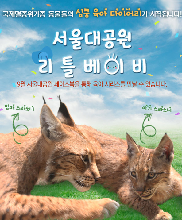 국제멸종위기종 동물들의 심쿵 육아 다이어리가 시작됩니다. 서울대공원 리틀베이비, 9월 서울대공원 페이스북을 통해 육아 시리즈를 만날 수 있습니다.
