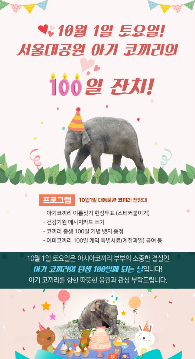 서울대공원 아기코끼리의 100일 잔치에 초대합니다!!! 
10월1일 토요일 동물원 내 대동물관 주변에서 진행되오니 많은 관심 부탁드립니다. 
당일프로그램으로는 아기코끼리의 이름짓기 현장투표(스티커붙이기)와 
건강기원 메시지카드 쓰기, 코끼리 출생 100일 기념 뱃지 증정, 
그리고 어미코끼리 100일케？ 특별사료 급여의 프로그램이 있습니다. 