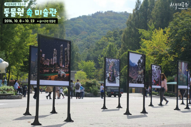 서울대공원 가을축제 동물원 속 미술관, 10월8일~23일까지, 동물원 광장에 설치된 일러스트작가들의 그림전시 모습