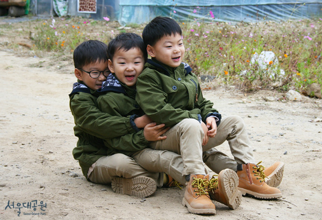 동물원에서 신나게 놀고 있는 '대한 민국 만세' 삼둥이의 모습