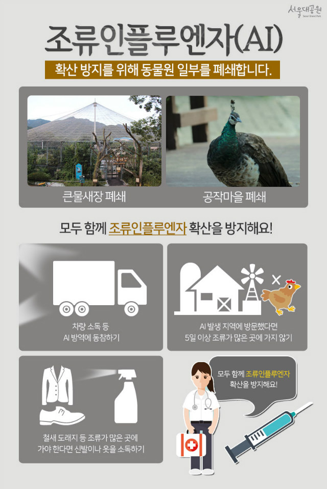 조류인플루엔자(AI) 확산방지를 위해 동물원 내 큰물새장과 공작마을을 페쇄합니다. 차량소독 등 AI방역에 동참하고, AI발생 지역에 방문했다면 5일이상 조류가 많은 곳에 가지않고 철새도래지 등 조류가 많은 곳에 가야한다면 신발이나 옷을 소독하여 모두 함께 조류인플루엔자 확산을 방지해요!