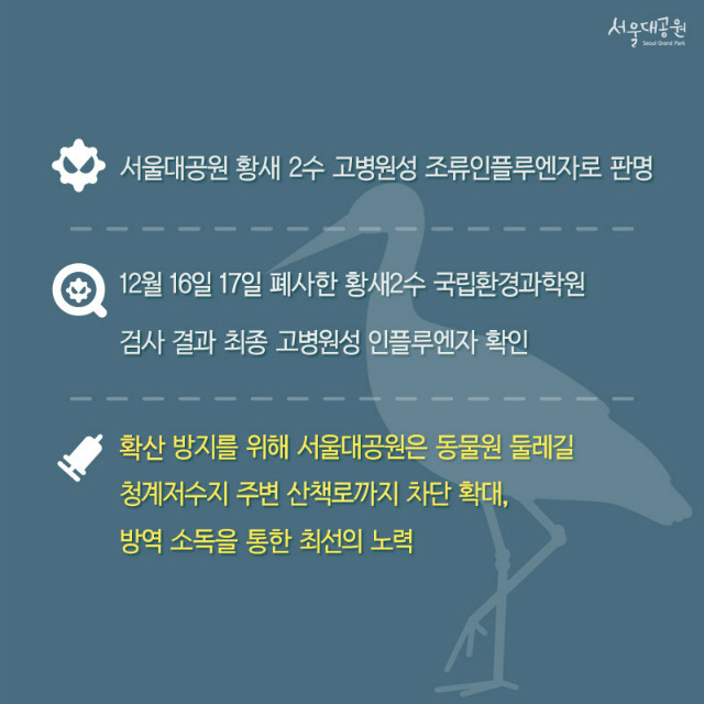 서울대공원 황새 2수 고병원성 조류인플루엔자로 판명 
12월16일,17일 폐사한 황새2수 국립환경과학원 검사결과 최종 고병원성 인플루엔자로 확인되어 
방산방지를 위해 서울대공원은 동물원 둘레길 및 청계저수지 주변 산책로까지 차단 확대, 
방역 소독을 통한 최선의 노력을 다하겠습니다.