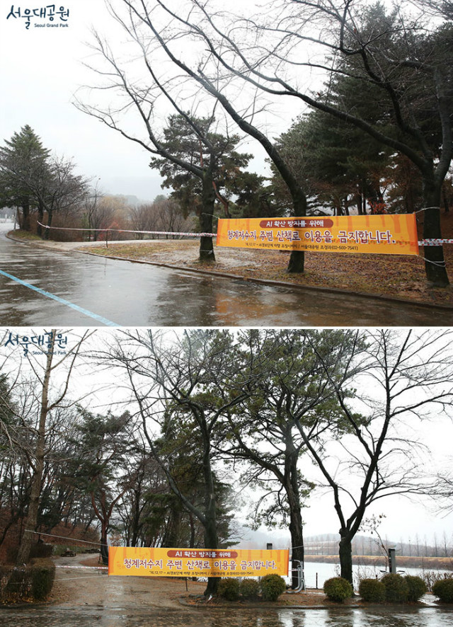 청계호수주변 진입로 차단 모습