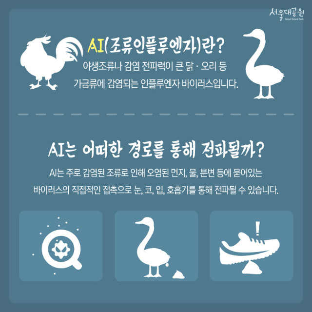 AI(조류인플루엔자)란.jpg