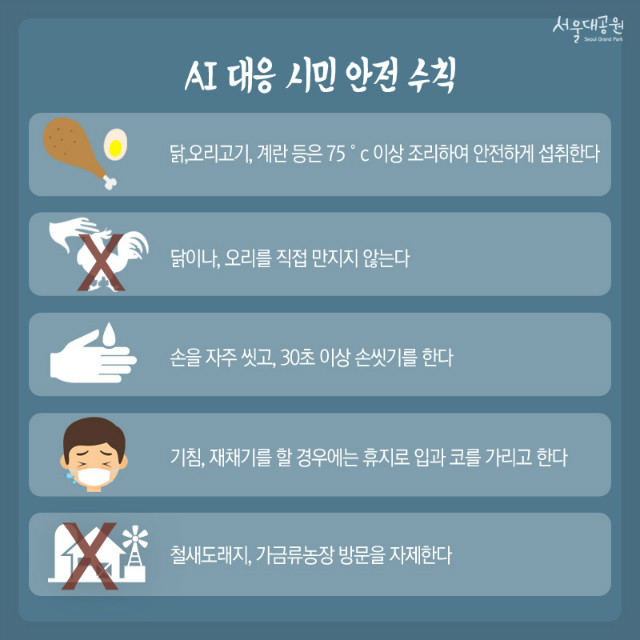 AI(조류인플루엔자)란4.jpg