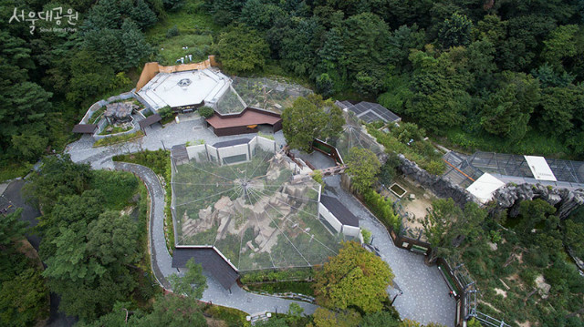  서울대공원 동물원 표범사 모습