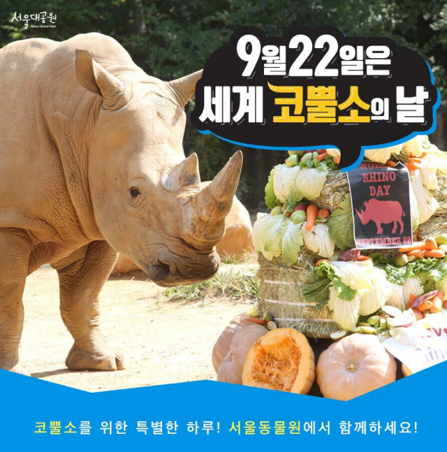 9월 22일은 '세계 코뿔소의 날’, 코뿔소를 위한 특별한 하루! 서울동물원에서 함께하세요! 