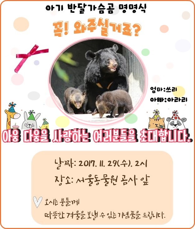 아기반달가슴곰 명명식 꼭 와주실거죠? 아웅다웅을 사랑하는 여러분들을 초대합니다. 날짜:2017.11.27(수)2시, 장소:서울동물원 곰사앞, 오시는분들께 따뜻한 겨울을 보낼 수 있는 기념품을 드립니다. 