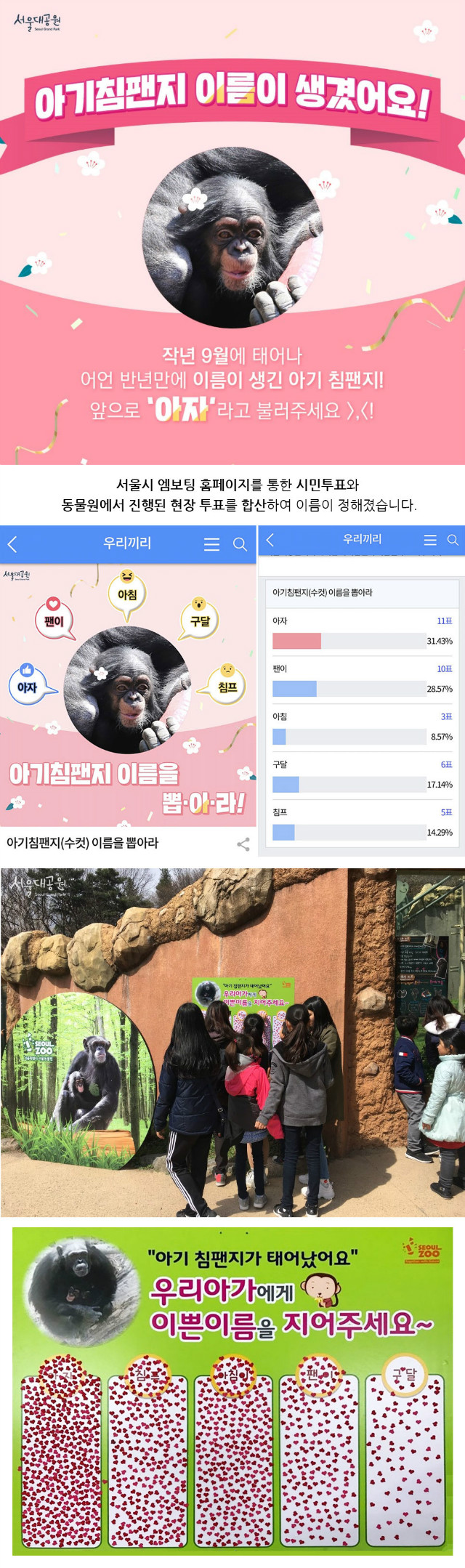 아기침팬지-이름공모결과_서울시 엠보팅 홈페이지를 통한 시민투표와
 동물원에서 진행된 현장 투표를 합산하여 '아자' 라는 이름이 정해졌습니다.