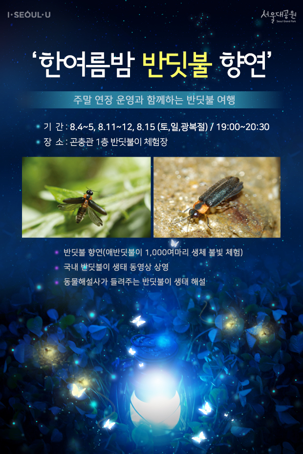 한여름밤 반딧불 만나러 동물원으로 오세요~!