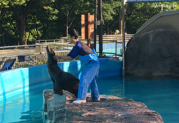 해양동물-생태설명회 모습