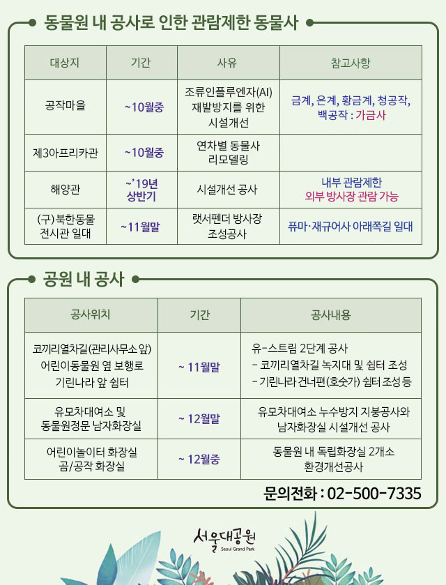 *동물원 내 공사로 인한 관람제한 동물사 안내 
1.조류인플루엔자(AI)재발장지를 위한 시설개선 공사 
- 공작마을:~10월중,임시로 동물을 볼 수 있는곳(금계,은계,황금계,청공작,백공작:가금사) 
2.연차별 동물사 리모델링 공사 
- 제3아프리카관:~10월중,임시로 동물을 볼 수 있는곳
3.시설개선공사 
- 해양관:~2019년 상반기, 내부관람제한, 외부방사장 관람 가능 
4. 렛서펜더 방사장 조성공사 
-(구)북한동물 전시관 일대 : ~11월말, 퓨마,재규어사 아래쪽길 일대 공사 
*공원 내 공사 
1.코끼리열차길(관리사무소앞), 어린이동물원 옆 보행로, 기린나라 앞 쉼터: ~11월말, 유스트림2단계공사 
2.유모차대여소 및 동물원정문 남자화장실: ~12월말, 유모차대여소 누수방지 지붕공사와 남자화장실 시설개선공사 
3.어린이놀이터 화장실, 곰/공작 화장실: ~12월중, 동물원 내 독립화장실 2개소 환경개선공사
*문의전화:02-500-7335(고객도움터)
