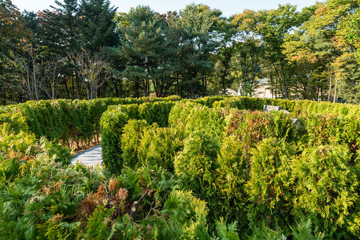 [사진]미로정원모습