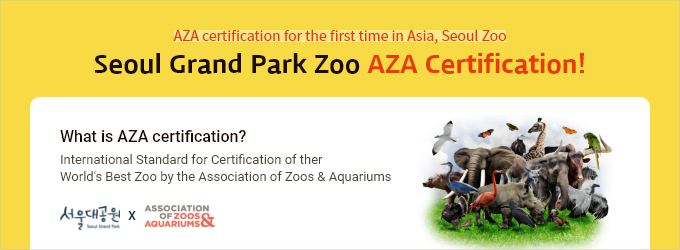 AZA certification for the first time in Asia, Seoul Zoo Seoul Grand Park Zoo AZA Certification! What is AZA certification International Standard for Certification of ther World's Best Zoo by the Association of Zoos & Aquariums