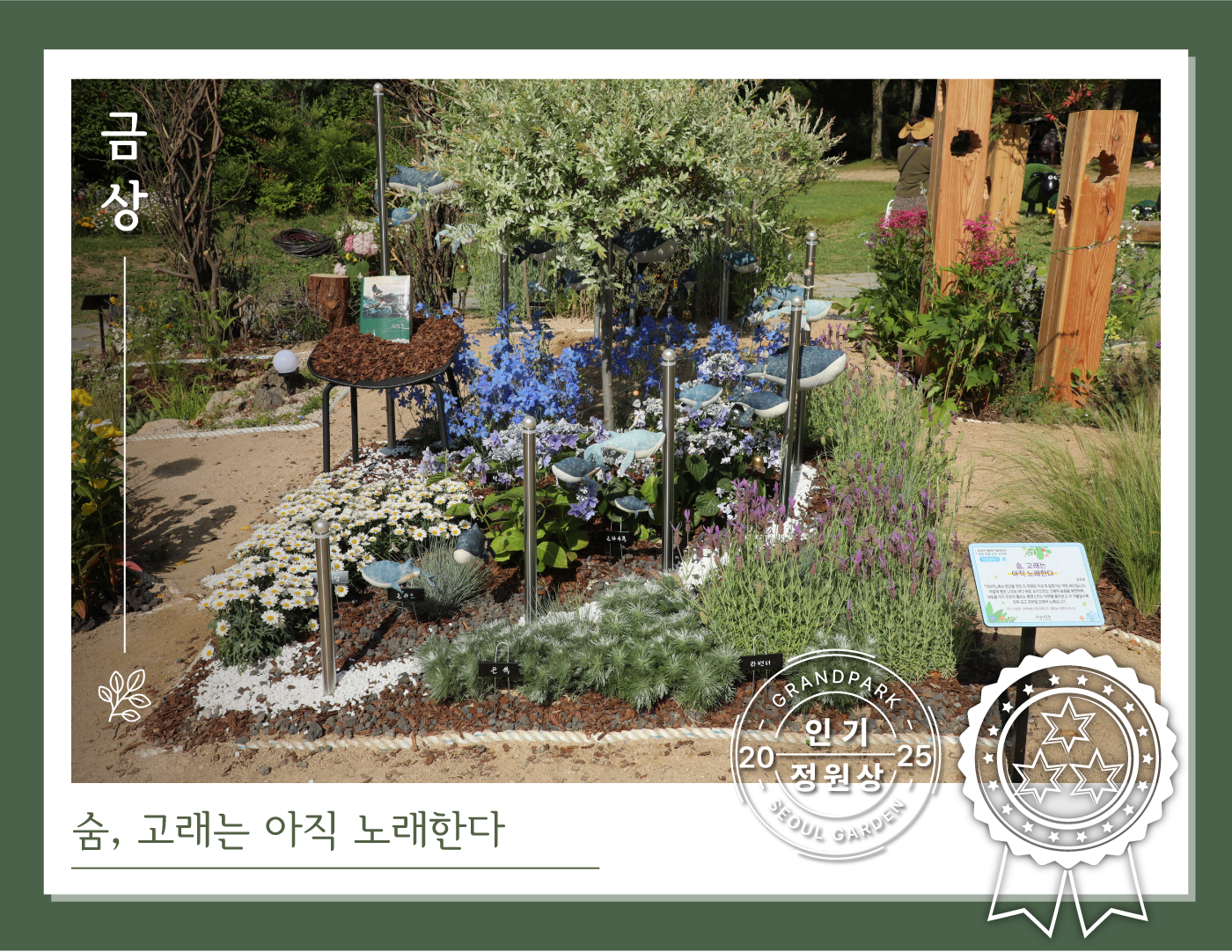 금상-숨, 고래는 아직 노래한다