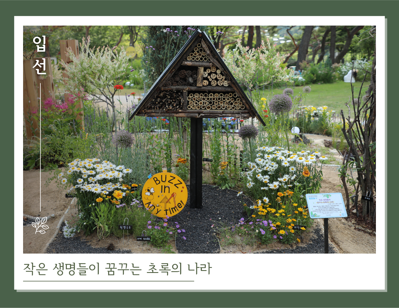 입선-작은 생명들이 꿈꾸는 초록의 나라