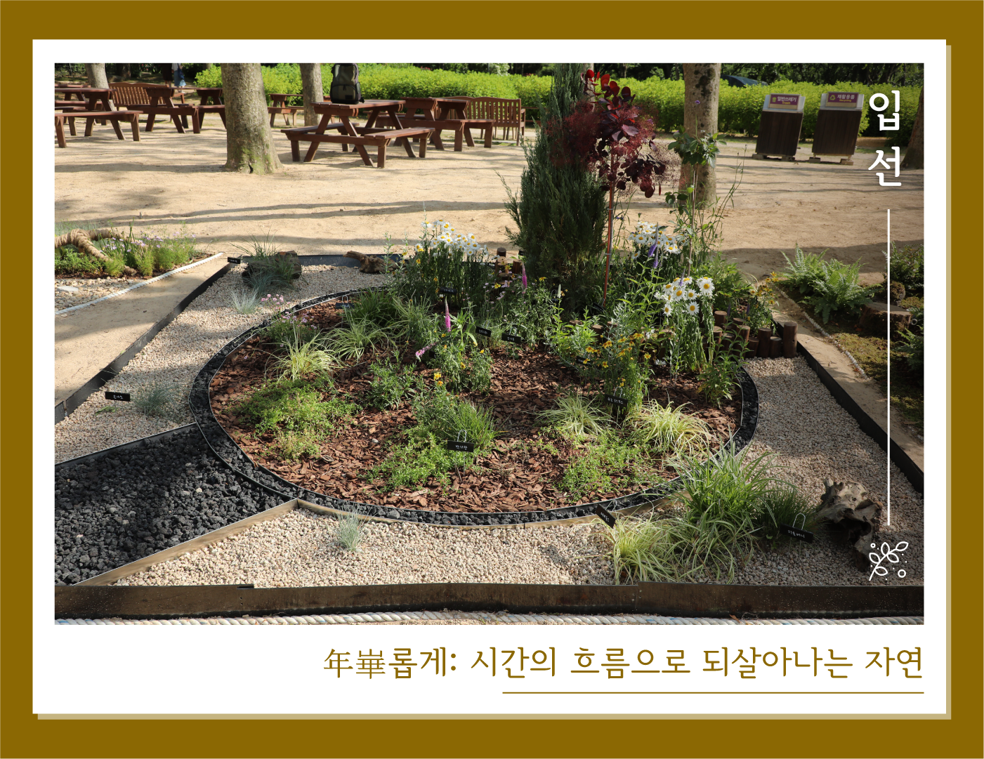 입선-年崋롭게: 시간의 흐름으로 되살아나는 자연