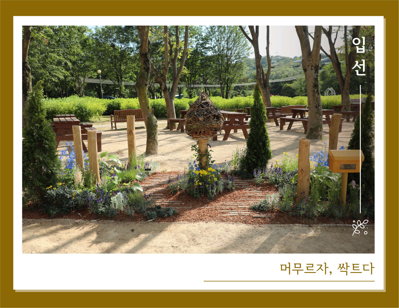 입선-머무르자, 싹트다