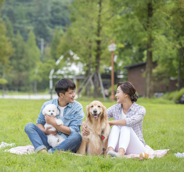 Guidelines for Pet Owners in Public Spaces