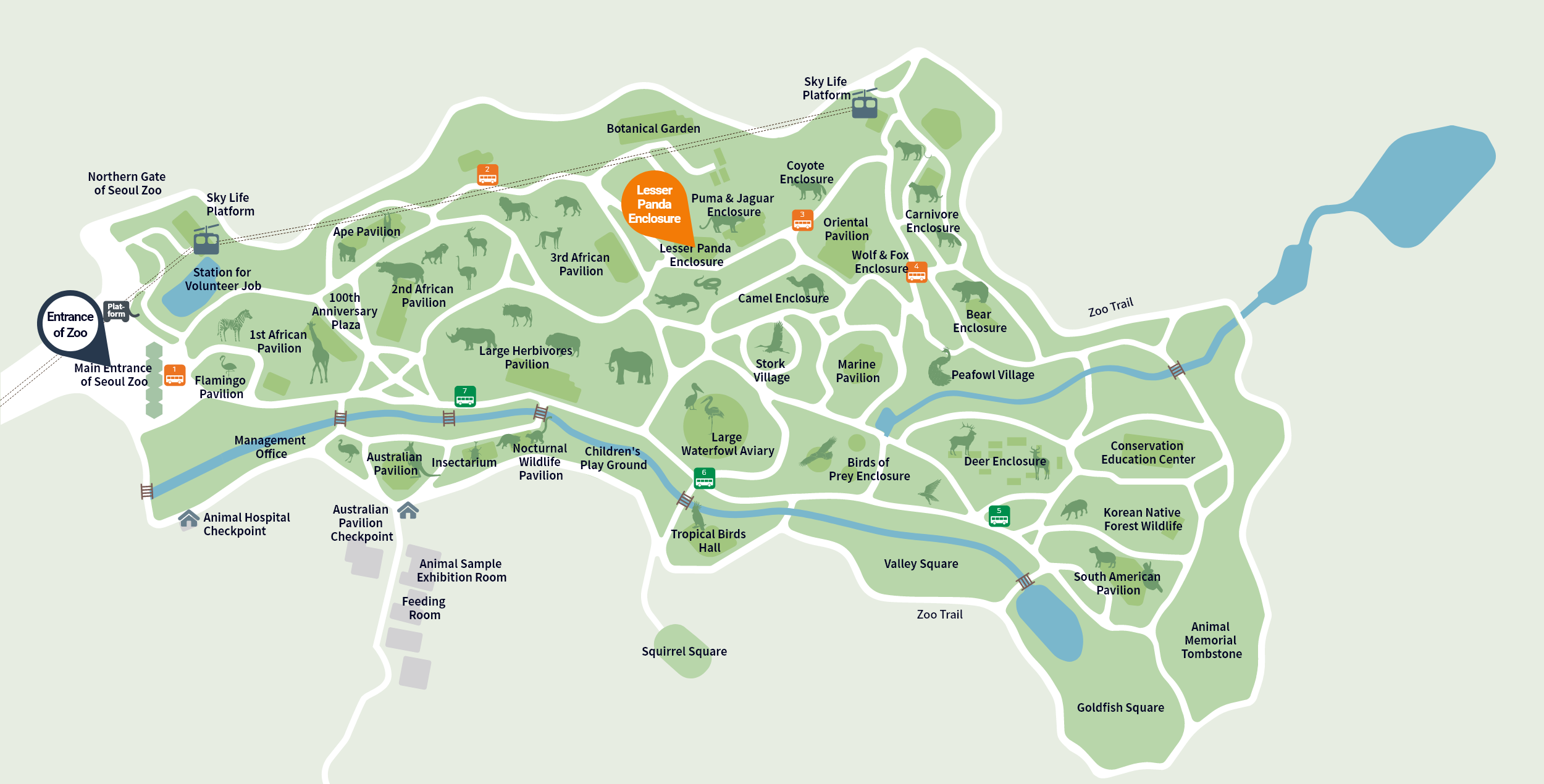 Lesser Panda Enclosure