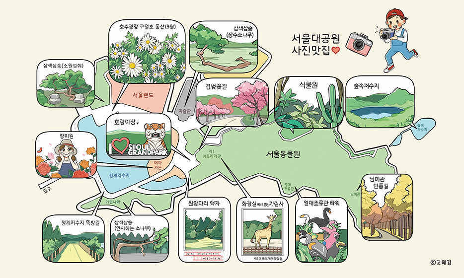 인생사진 촬영
