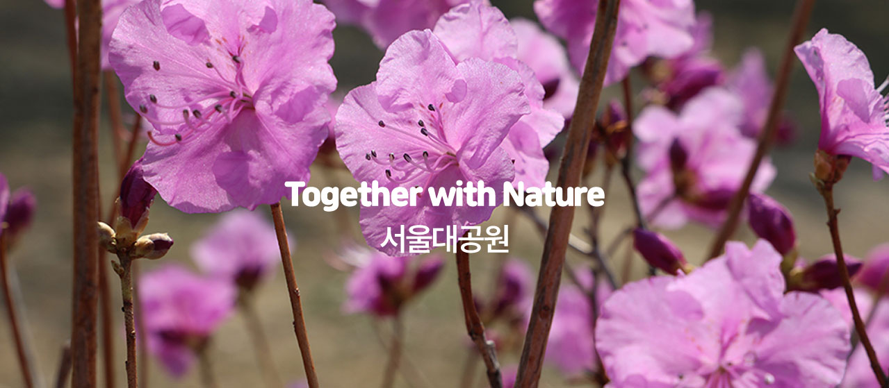 Together width Nature 서울대공원