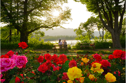 모녀와 장미원 사진