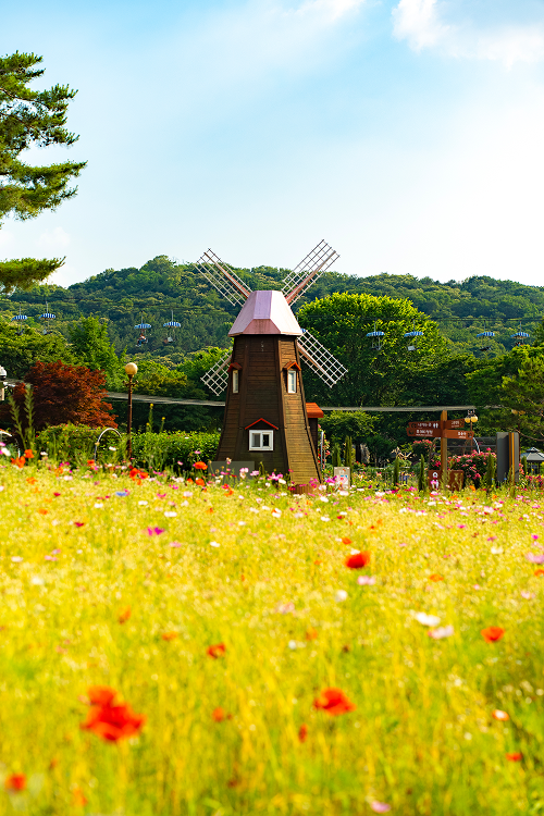 가을을 기다리는 풍차사진