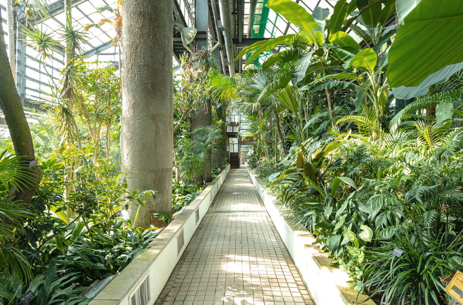 溫室植物園