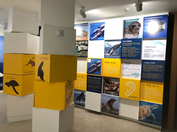 해양동물 전시