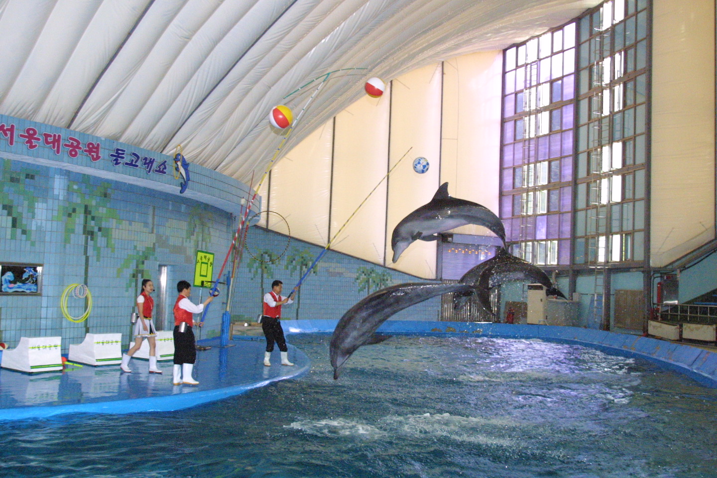 과거 돌고래 공연장 모습