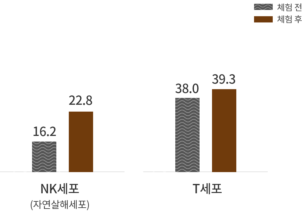 체험 전과 체험 후의 NK세포, T세포 비교 그래프