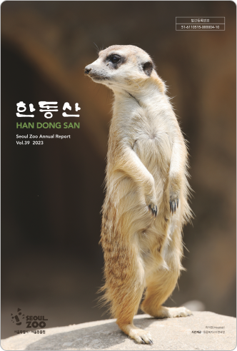 한동산 vol.39