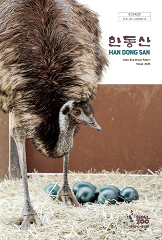 한동산 vol.41