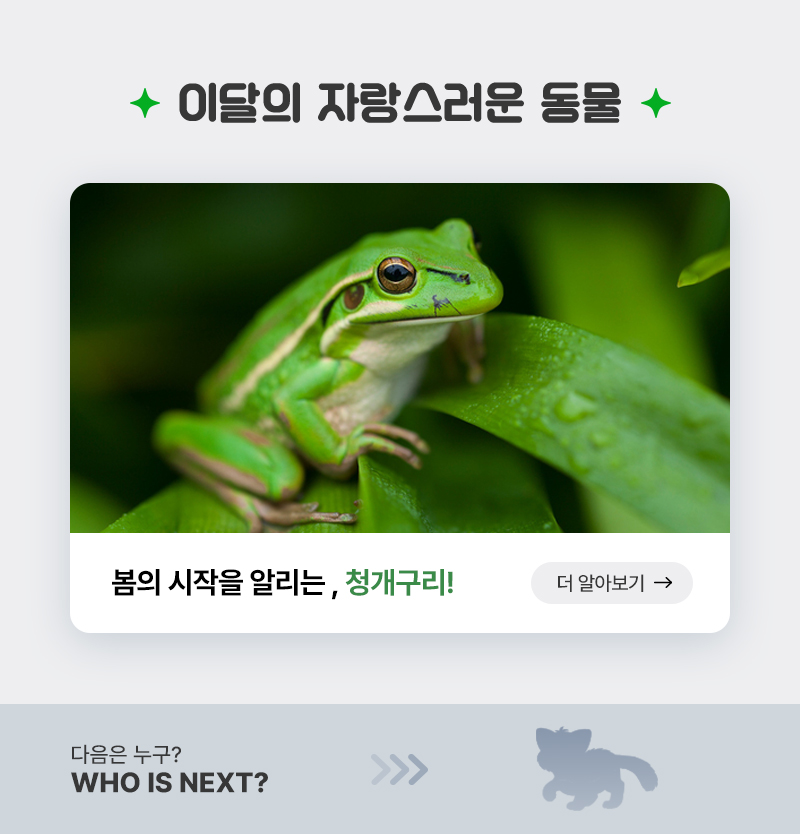 이달의 자랑스러운 동물