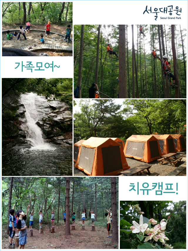 가족모여치유캠프현자사진들