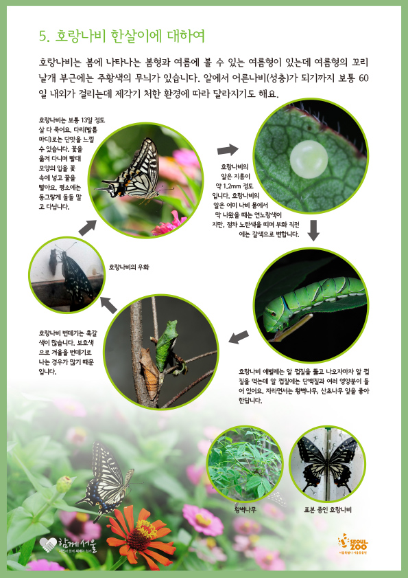 0711_12 프로그램정리 및 안내0813-11.jpg