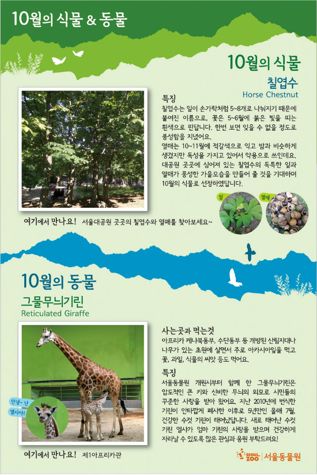 15년 10월의동식물 홈페이지용.jpg