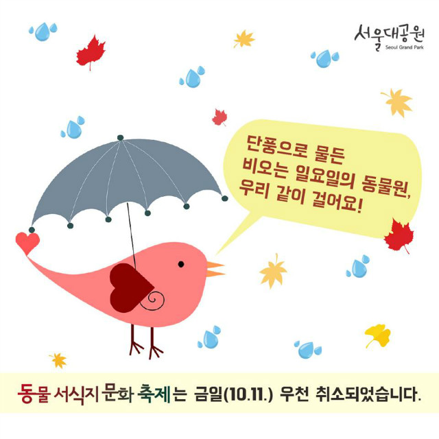 단풍으로 물든 비오는 일요일의 동물원, 우리 같이 걸어요! 동물서식지문화축제는 금일(10.11) 우천 취소되었습니다.