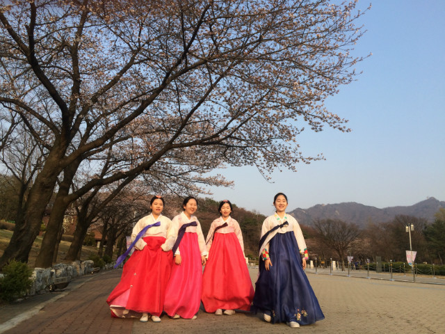 서울대공원 벚꽃축제 한복나들이