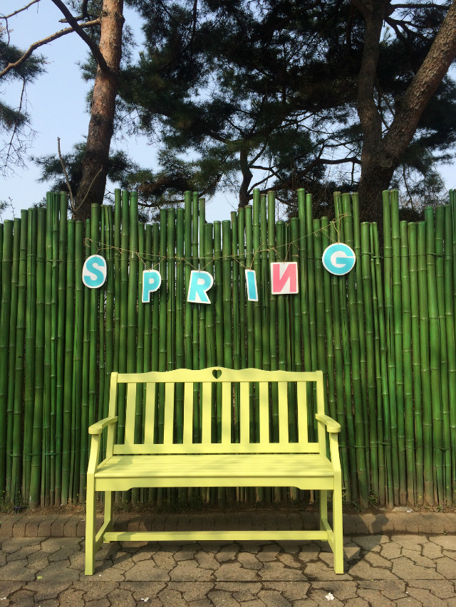 서울대공원 벚꽃축제 로맨틱 포토존