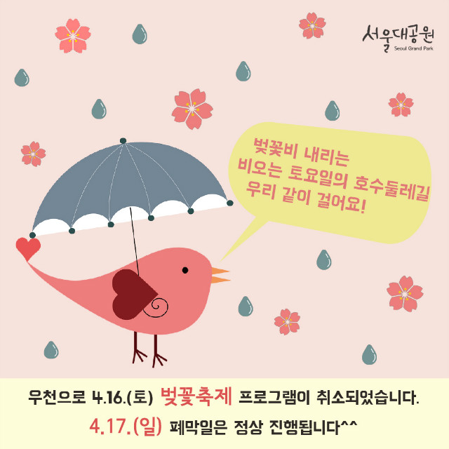 4.16(토) 서울대공원 벚꽃축제 우천취소