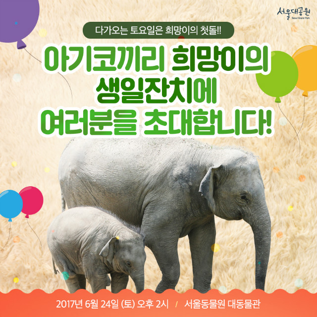 화제의 아기코끼리'희망이'의 첫돌잔치에 초대합니다.6.24(토)오후2시, 서울동물원 대동물관